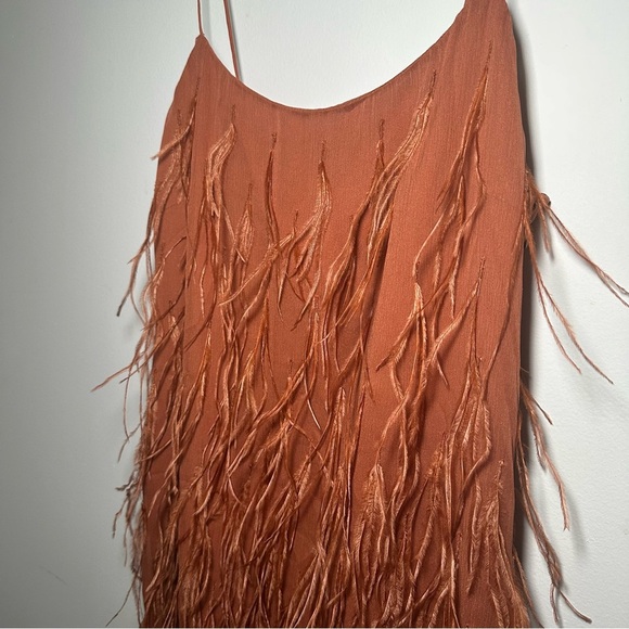 Rebecca Taylor Copper Silk Ostrich Feather Slip Dress Size 8 - Picture 10 of 17